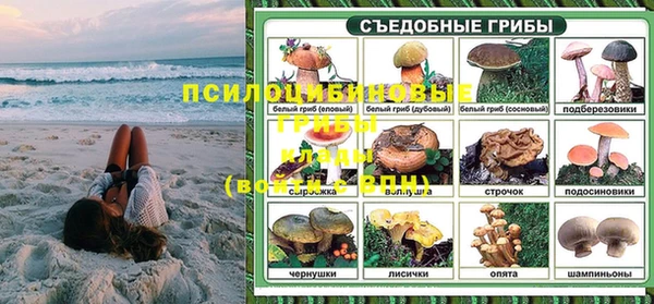 крисы Новодвинск