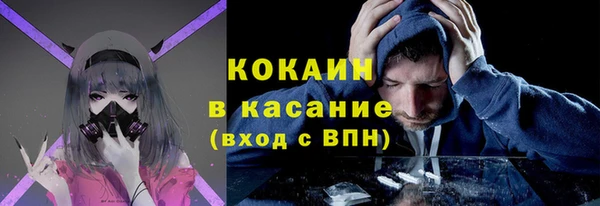 крисы Новодвинск
