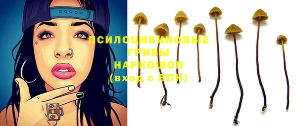 крисы Новодвинск