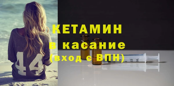 крисы Новодвинск