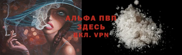 крисы Новодвинск