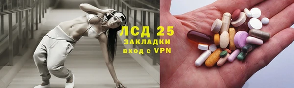 крисы Новодвинск