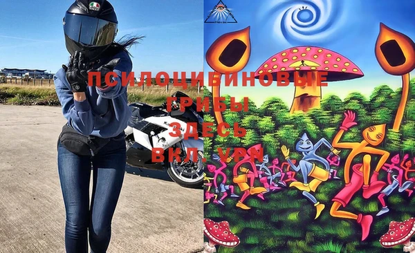 ПСИЛОЦИБИНОВЫЕ ГРИБЫ Новокубанск