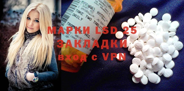 крисы Новодвинск