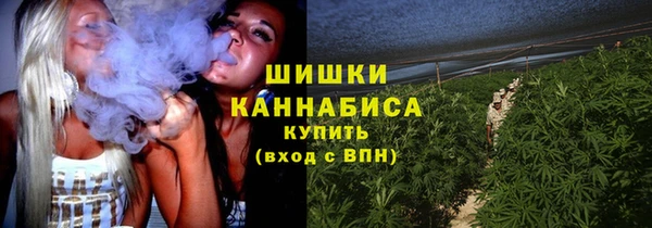ПСИЛОЦИБИНОВЫЕ ГРИБЫ Новокубанск