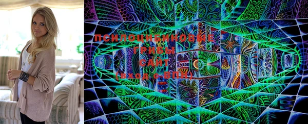 ПСИЛОЦИБИНОВЫЕ ГРИБЫ Новокубанск
