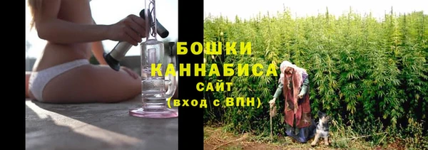 крисы Новодвинск